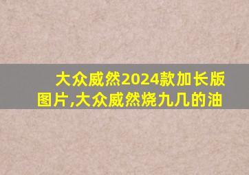 大众威然2024款加长版图片,大众威然烧九几的油