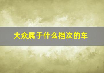 大众属于什么档次的车