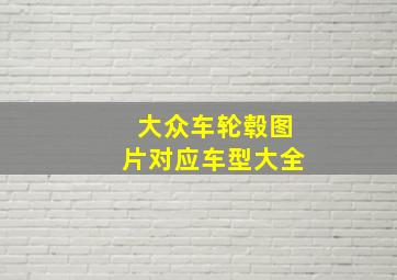 大众车轮毂图片对应车型大全