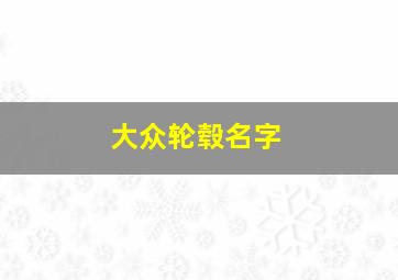 大众轮毂名字