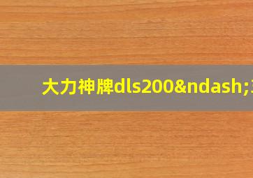 大力神牌dls200–3D