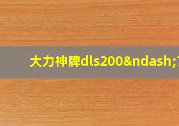 大力神牌dls200–7D