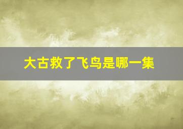 大古救了飞鸟是哪一集