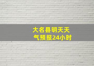 大名县明天天气预报24小时