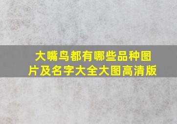 大嘴鸟都有哪些品种图片及名字大全大图高清版