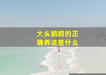 大头鹦鹉的正确养法是什么