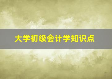 大学初级会计学知识点