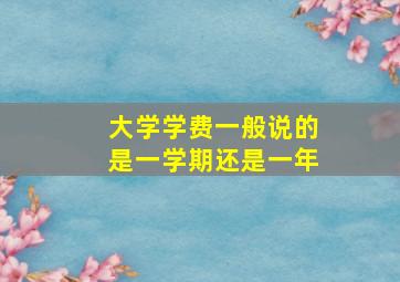 大学学费一般说的是一学期还是一年