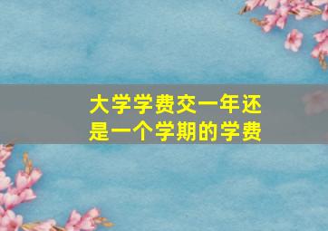 大学学费交一年还是一个学期的学费