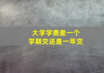 大学学费是一个学期交还是一年交