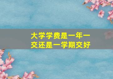 大学学费是一年一交还是一学期交好