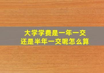 大学学费是一年一交还是半年一交呢怎么算