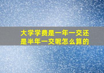 大学学费是一年一交还是半年一交呢怎么算的