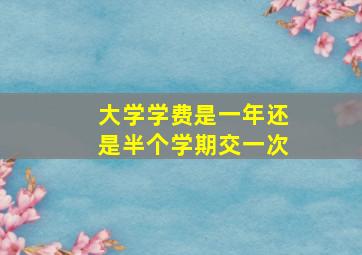 大学学费是一年还是半个学期交一次