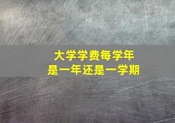 大学学费每学年是一年还是一学期