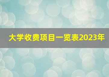 大学收费项目一览表2023年