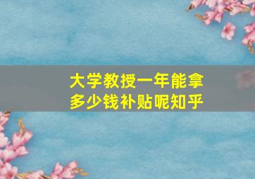 大学教授一年能拿多少钱补贴呢知乎