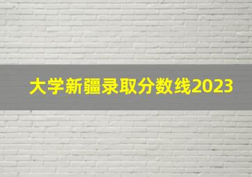 大学新疆录取分数线2023