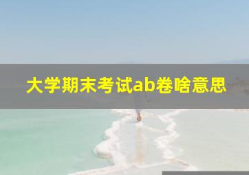 大学期末考试ab卷啥意思