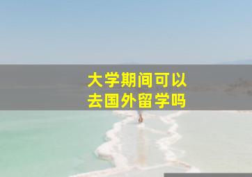 大学期间可以去国外留学吗