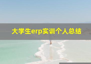 大学生erp实训个人总结