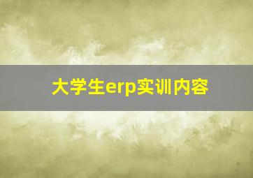 大学生erp实训内容