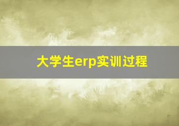 大学生erp实训过程