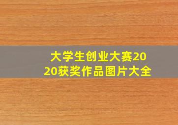 大学生创业大赛2020获奖作品图片大全