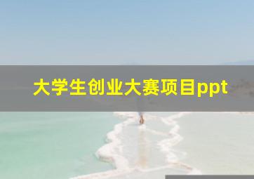 大学生创业大赛项目ppt