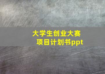 大学生创业大赛项目计划书ppt