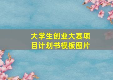 大学生创业大赛项目计划书模板图片