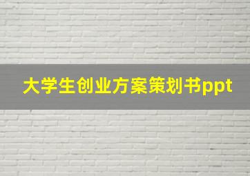 大学生创业方案策划书ppt