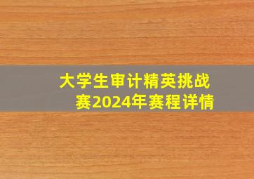 大学生审计精英挑战赛2024年赛程详情