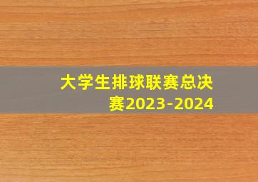 大学生排球联赛总决赛2023-2024