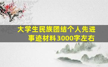 大学生民族团结个人先进事迹材料3000字左右