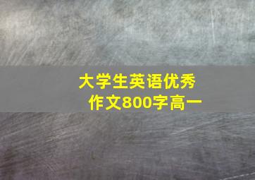 大学生英语优秀作文800字高一