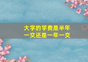 大学的学费是半年一交还是一年一交