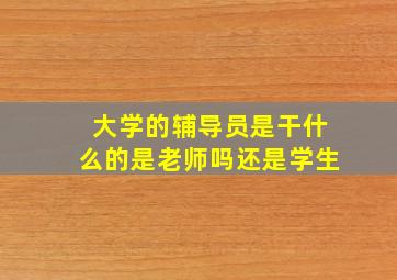 大学的辅导员是干什么的是老师吗还是学生