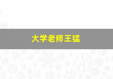 大学老师王猛