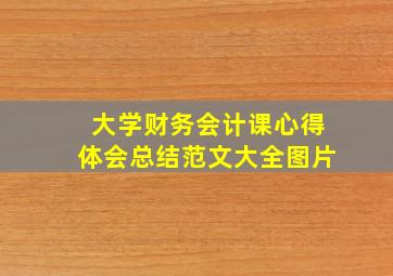 大学财务会计课心得体会总结范文大全图片