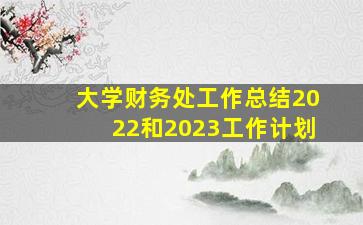 大学财务处工作总结2022和2023工作计划