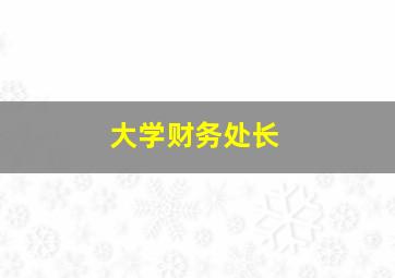 大学财务处长