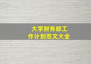 大学财务部工作计划范文大全