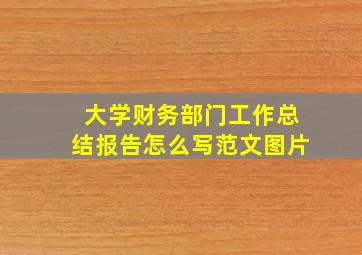 大学财务部门工作总结报告怎么写范文图片