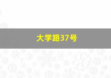 大学路37号