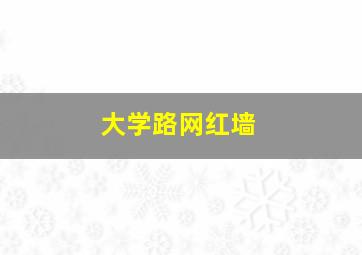 大学路网红墙