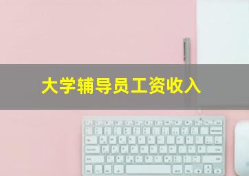 大学辅导员工资收入