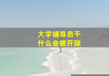 大学辅导员干什么会被开除