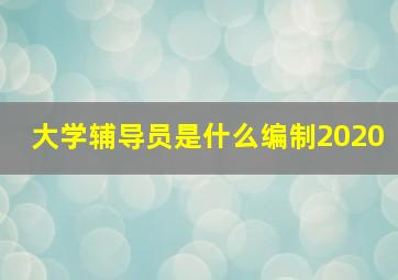 大学辅导员是什么编制2020