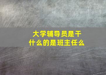 大学辅导员是干什么的是班主任么